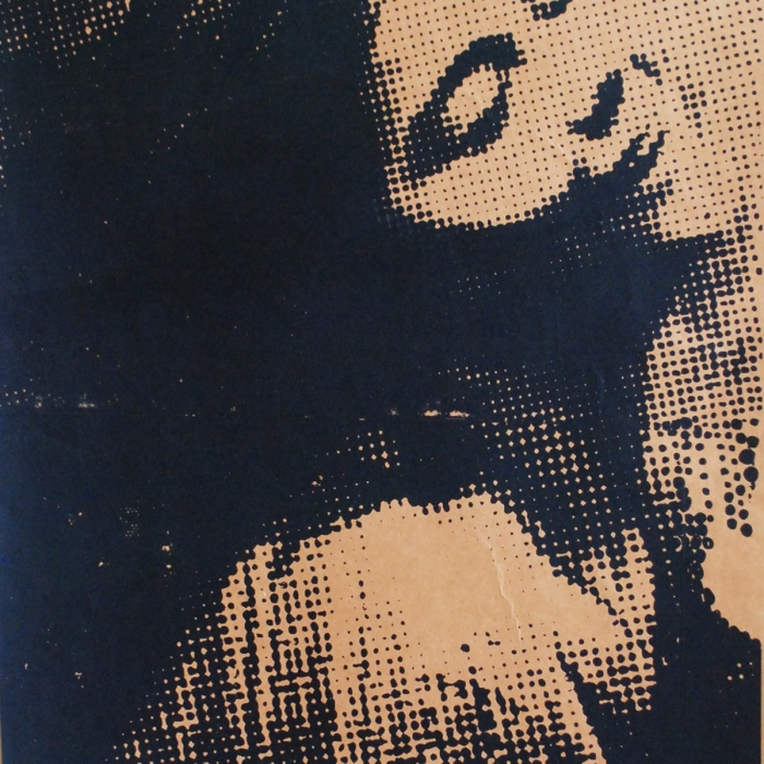 Björk – serigrafia 50 x 70 / 2020